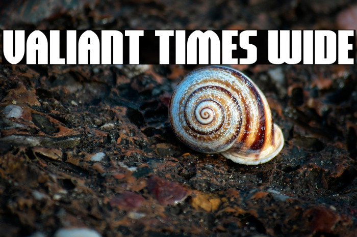 Valiant Times Wide Example 1