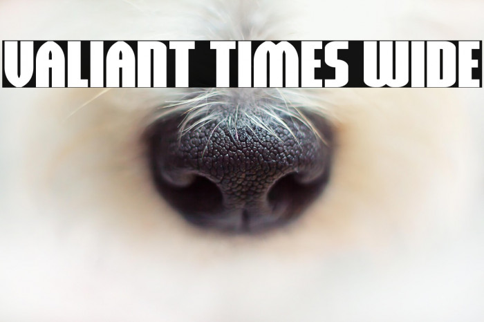 Valiant Times Wide Example 3