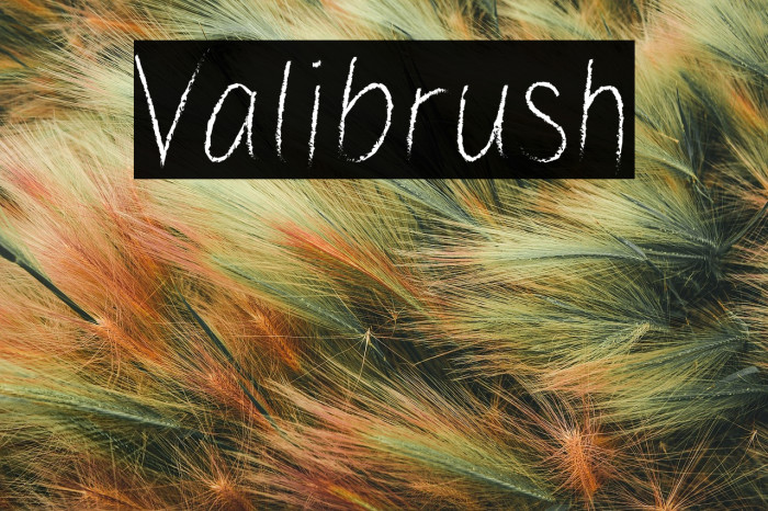 Valibrush Example 2