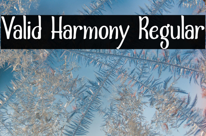 Valid Harmony Regular Example 3