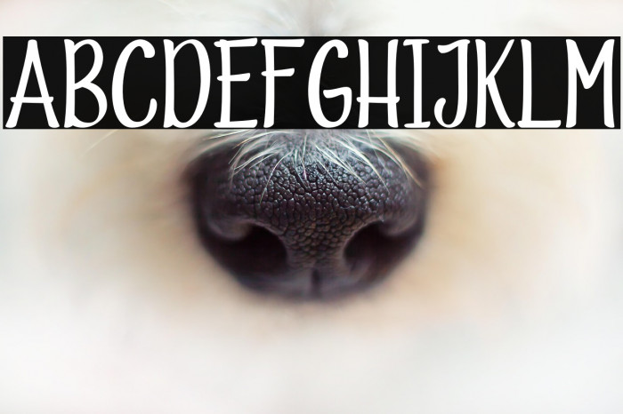 ValidHarmony-Regular Example 2