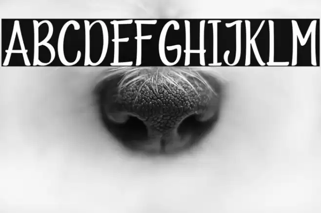 ValidHarmony-Regular Font examples