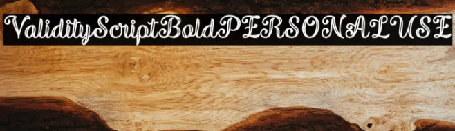 ValidityScriptBoldPERSONALUSE Example 2