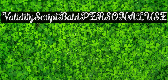ValidityScriptBoldPERSONALUSE Example 3
