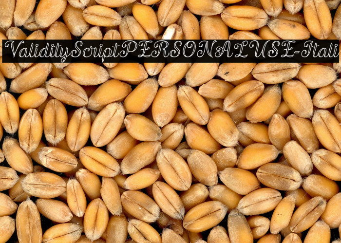 ValidityScriptPERSONALUSE-Itali Example 2