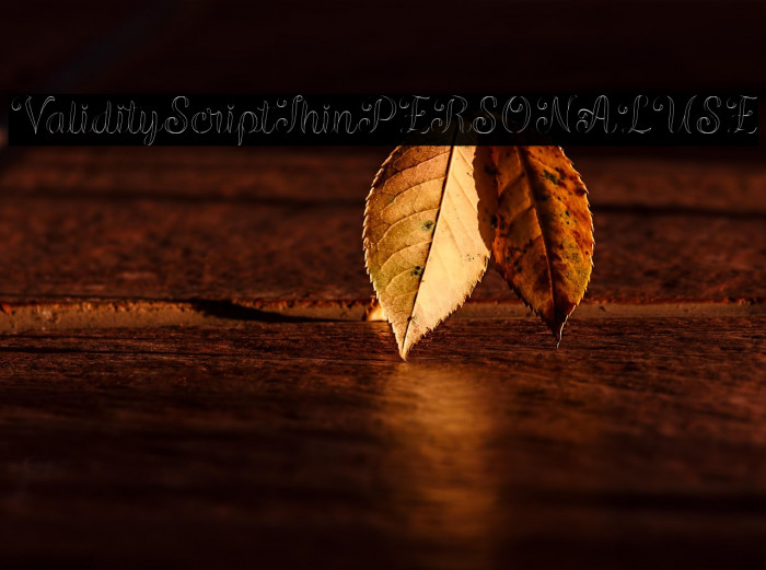 ValidityScriptThinPERSONALUSE Example 2