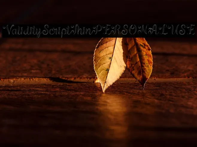 ValidityScriptThinPERSONALUSE Example 2