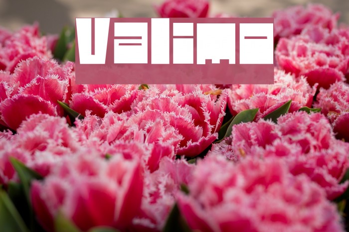 Valimo Fonte examples