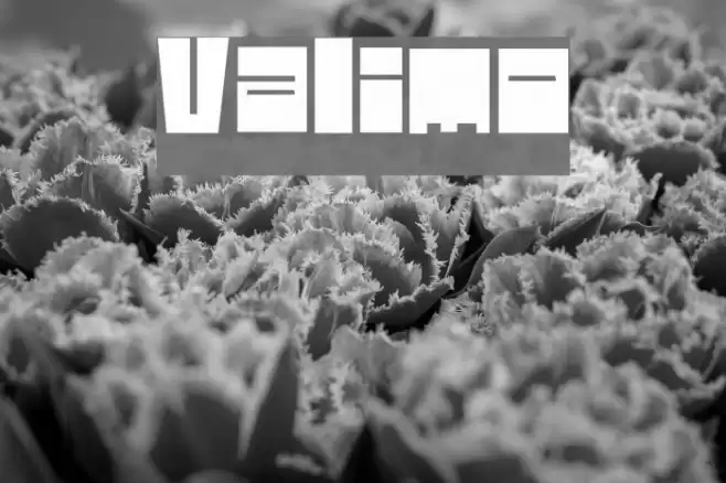 Valimo Font examples