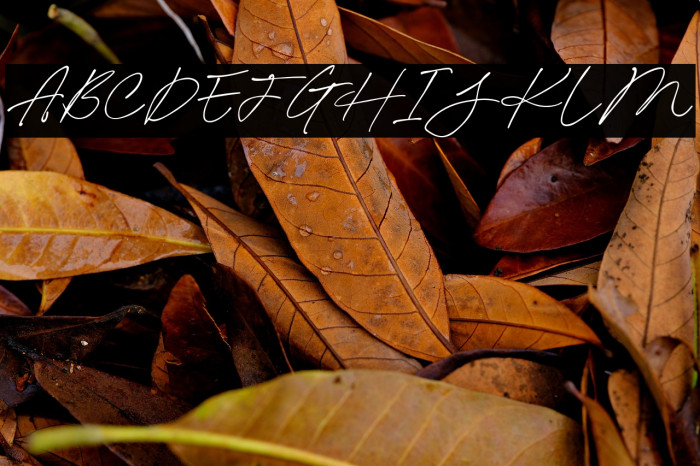 Valintina-Regular Example 3