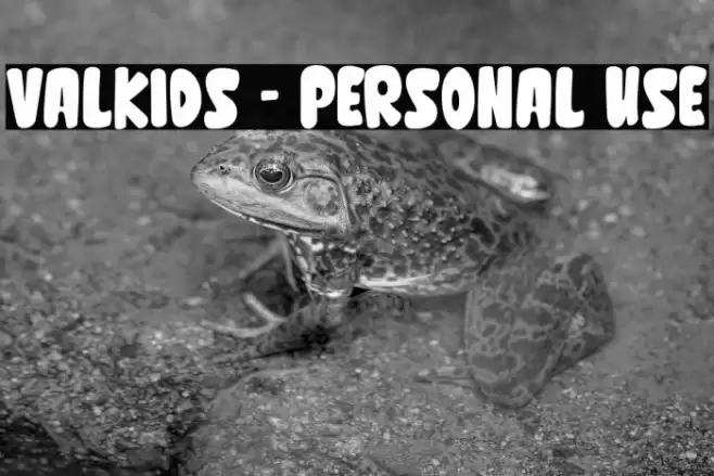 Valkids - Personal use Polices examples