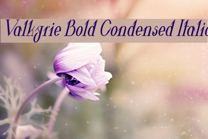 Valkyrie Bold Condensed Italic Example 2