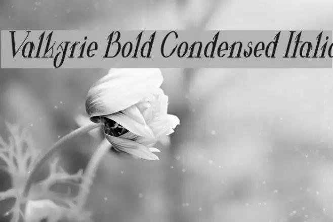 Valkyrie Bold Condensed Italic Font examples