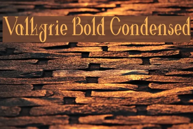 Valkyrie Bold Condensed Example 2