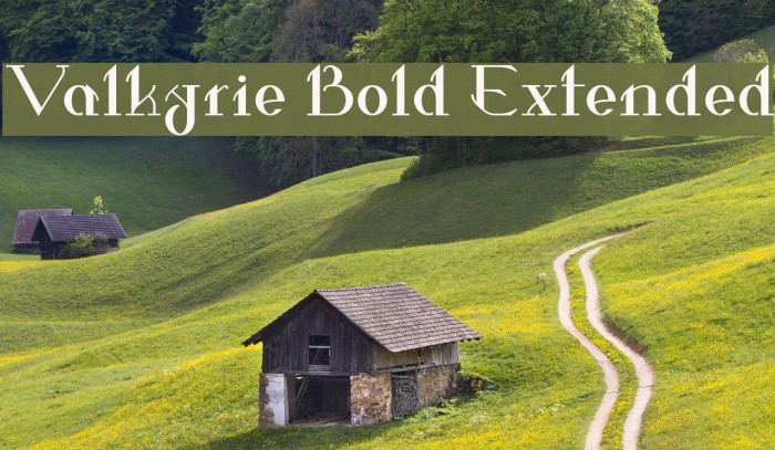 Valkyrie Bold Extended Font examples
