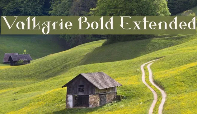 Valkyrie Bold Extended Example 3