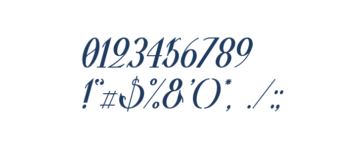 Valkyrie Bold Italic Other Characters