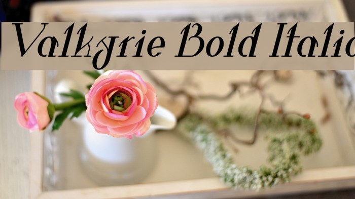Valkyrie Bold Italic Example 2