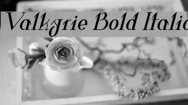Valkyrie Bold Italic Font examples