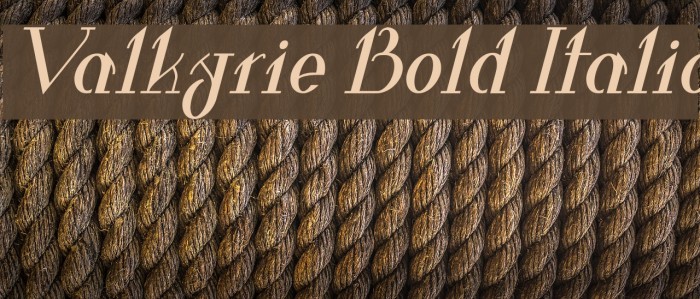 Valkyrie Bold Italic Example 3