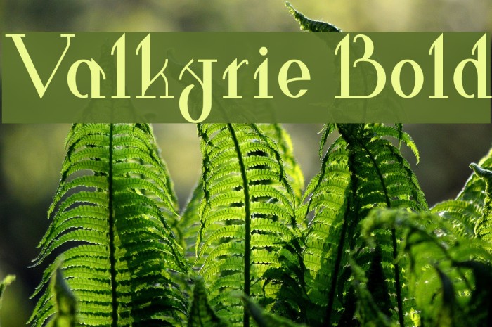 Valkyrie Bold Font examples