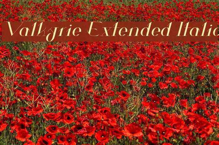 Valkyrie Extended Italic Font examples
