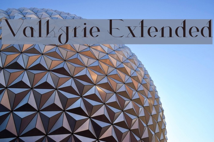 Valkyrie Extended Example 1