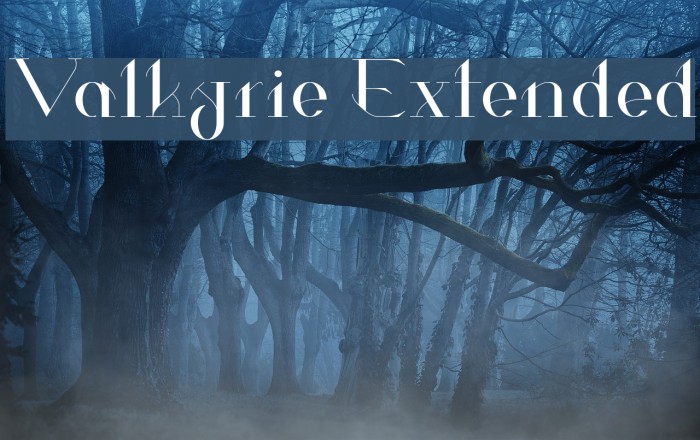 Valkyrie Extended Example 2