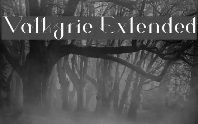 Valkyrie Extended Font examples