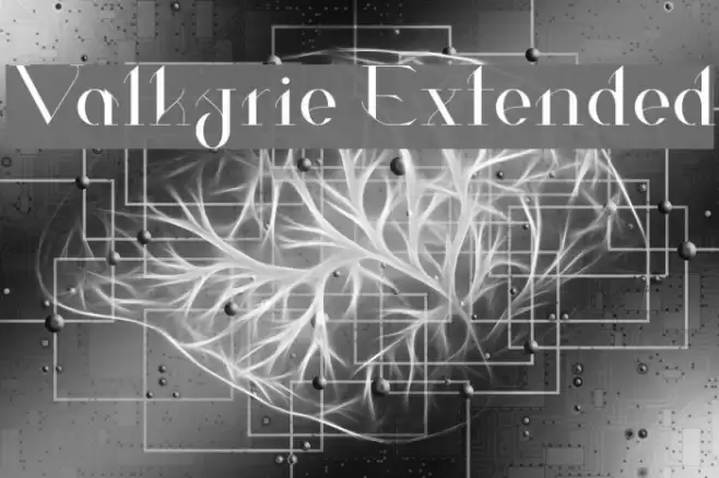 Valkyrie Extended Font examples