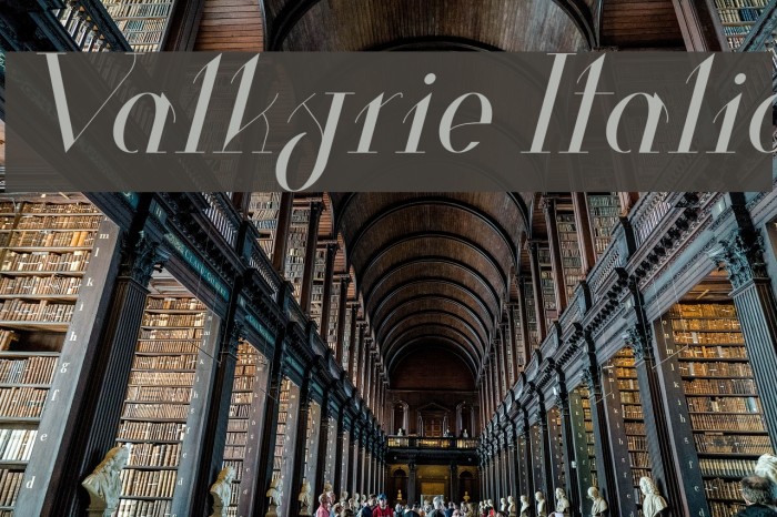 Valkyrie Italic Font examples