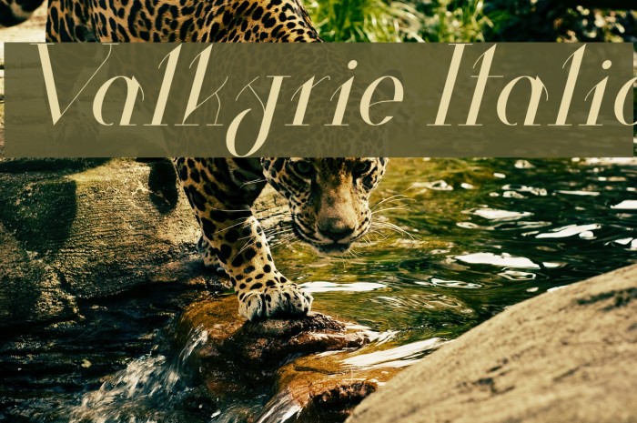 Valkyrie Italic Font examples