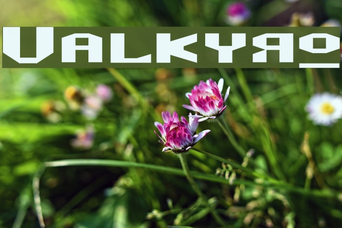Valkyro Font examples