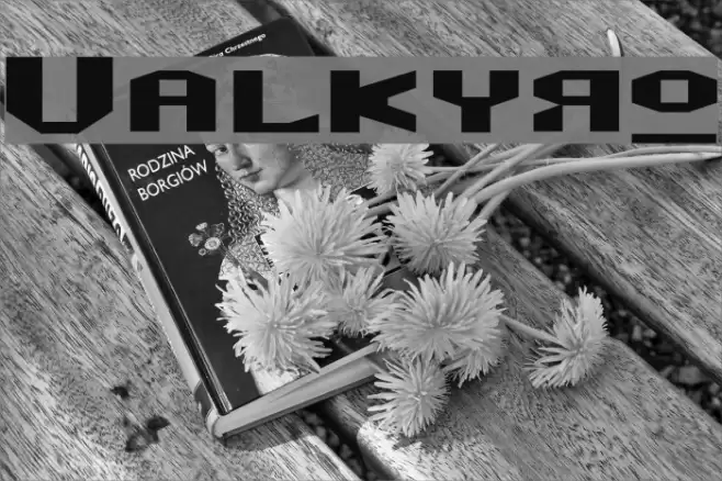 Valkyro Font examples