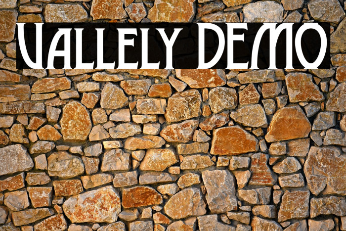 Vallely DEMO Example 1