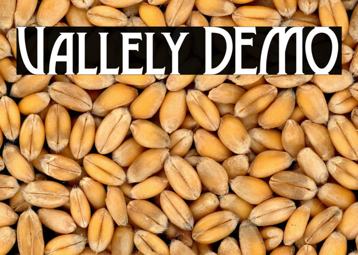 Vallely DEMO Example 3