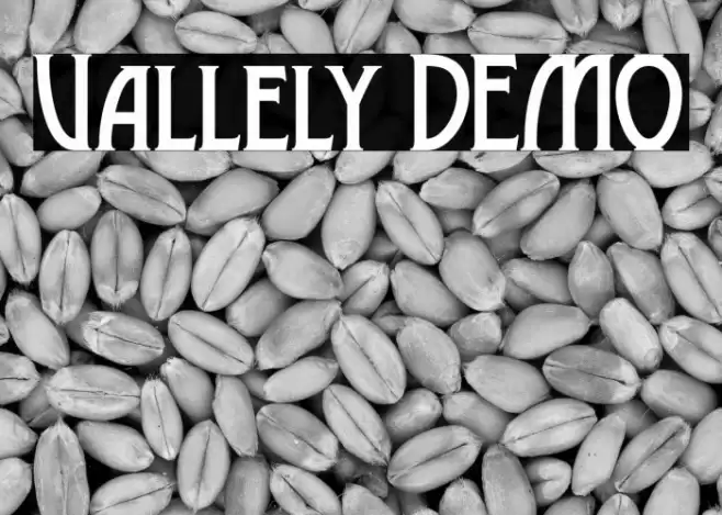 Vallely DEMO Font examples