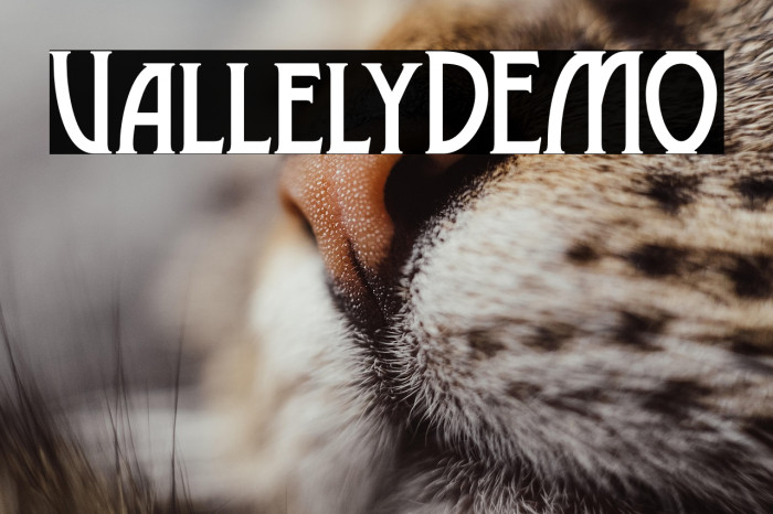 VallelyDEMO Example 1