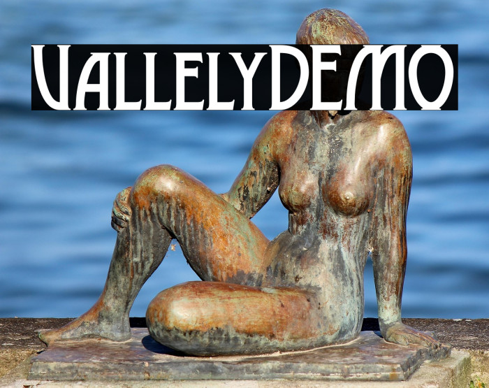 VallelyDEMO Example 2