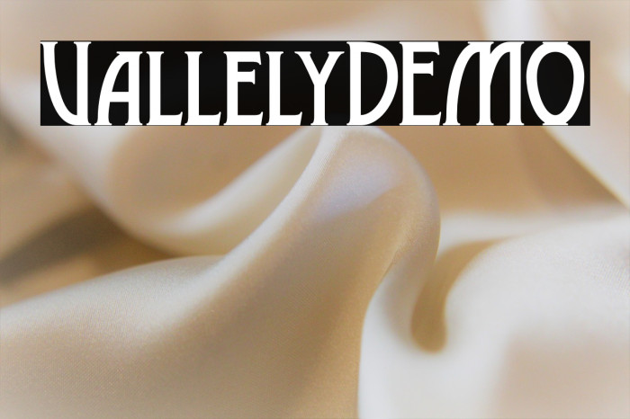 VallelyDEMO Example 3