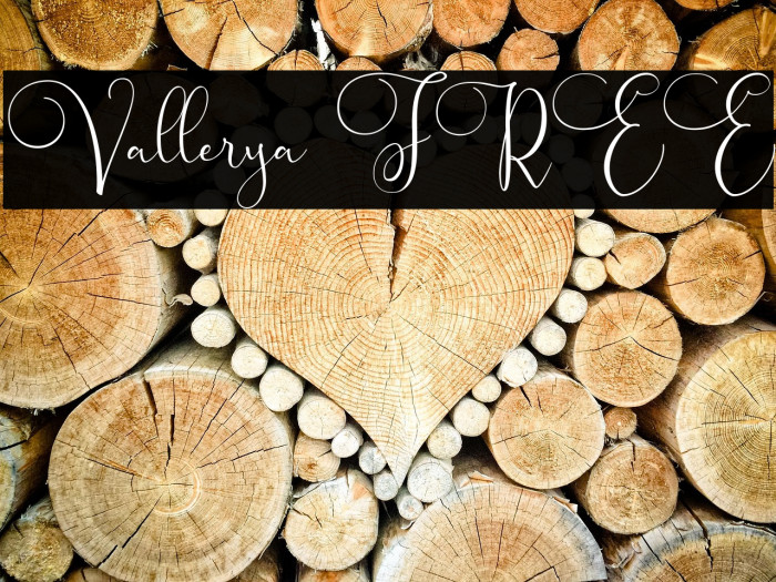 Vallerya FREE Example 2