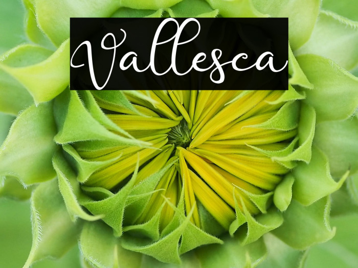 Vallesca Example 3