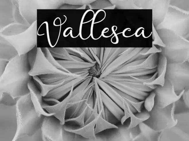 Vallesca Font examples