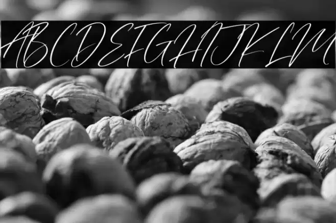 Valley Country Font examples