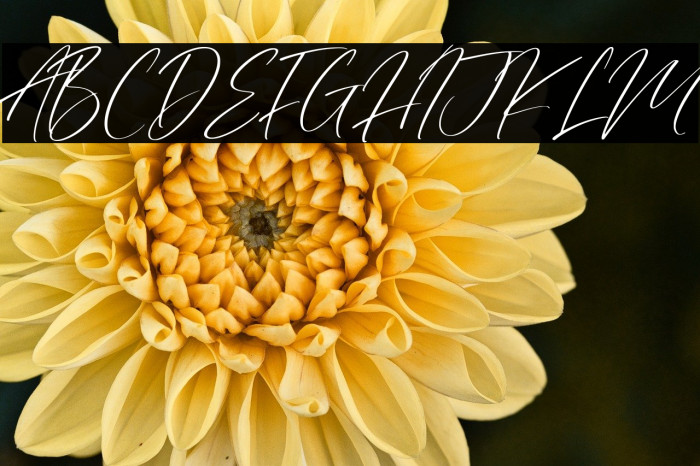 Valley Country Example 2