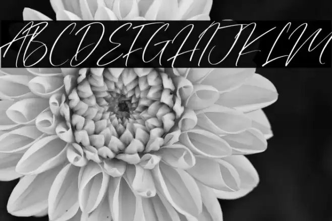 Valley Country Font examples