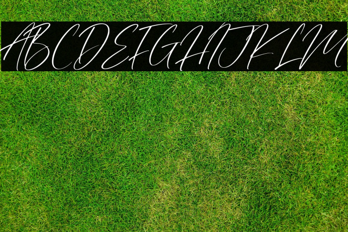 Valley Country Example 3