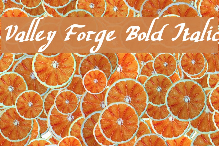 Valley Forge Bold Italic Font examples
