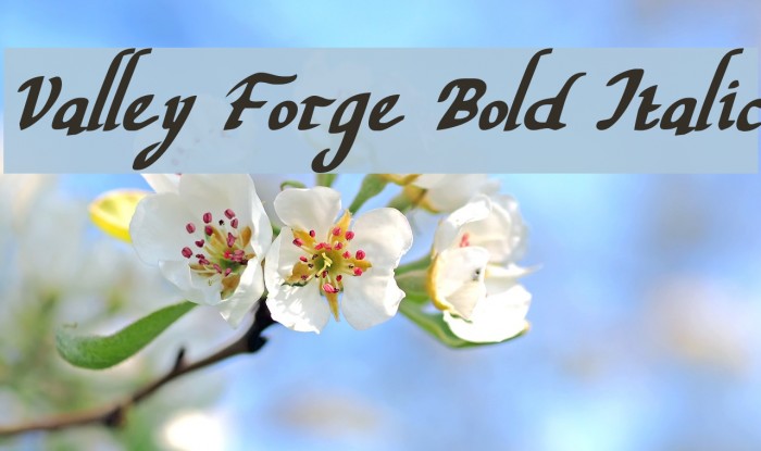 Valley Forge Bold Italic Font examples