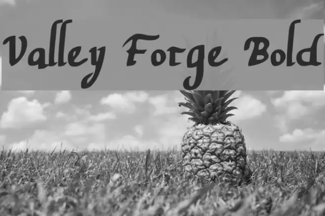 Valley Forge Bold Font examples